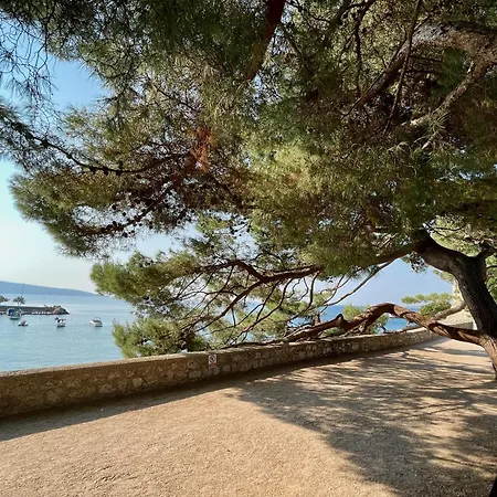 Villa Cimic *